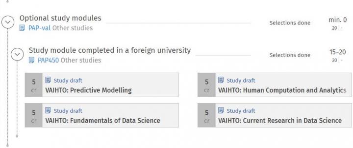 Esimerkki valinnaisen kokonaisuuden suunnittelusta Sisussa.