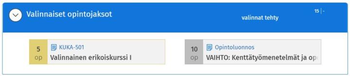 Kuva opintosuunnitelman otsikosta, jonka alle on lisätty opintoluonnos.