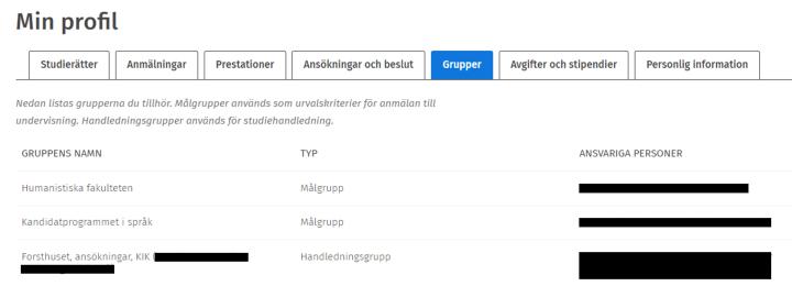 Skärmdump av fliken Grupper.