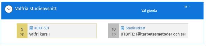 Skärmdump av ett studieutkast i studieplan.