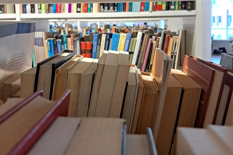 Bokhyllor i Kajsahuset