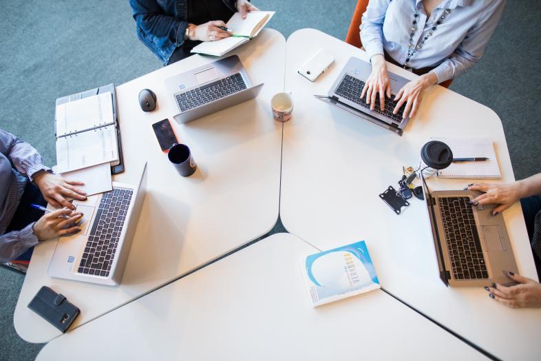 Photo: Joel Grandell (University of Helsinki).