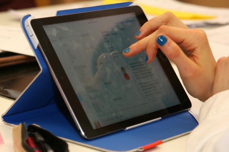 A student uses a tablet in a language course.