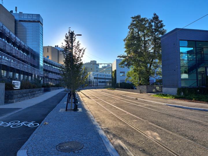 Viikinkaari in the morning light.