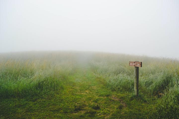 A signpost in a misty green meadow.