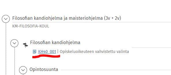Kuvakaappaus rakenteessa näkyvästä koulutusohjelman koodista.
